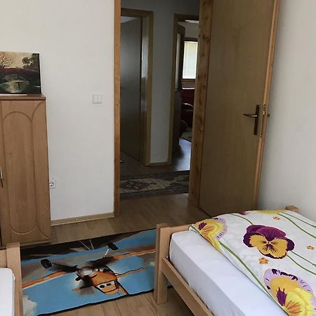 Apartment Near The Airport Sarajevo Luaran gambar